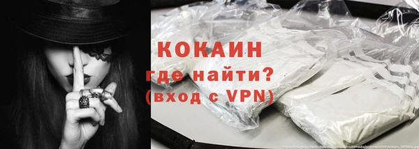 крисы Кропоткин