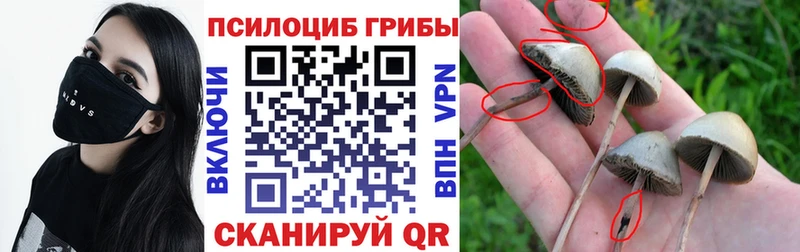 Псилоцибиновые грибы Magic Shrooms  купить наркотики цена  shop телеграм  Мелеуз 