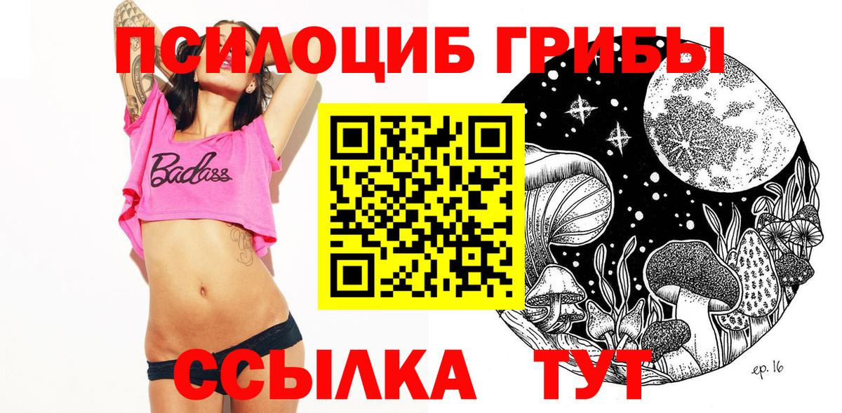 где можно купить   Вход с VPN  Мелеуз  Псилоцибиновые грибы Psilocybine cubensis 