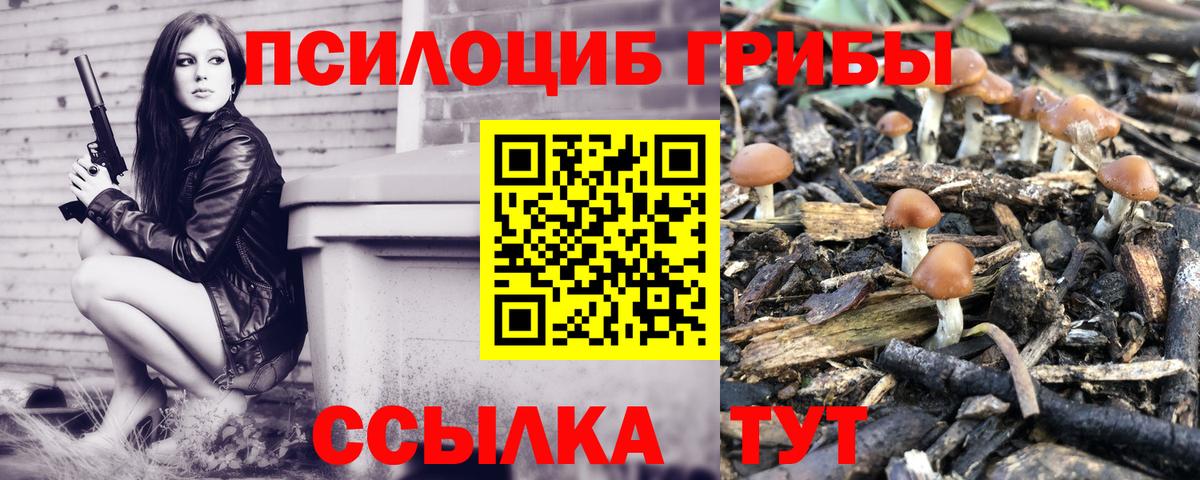 Галлюциногенные грибы Magic Shrooms  Галлюциногенные грибы мицелий  Мелеуз 