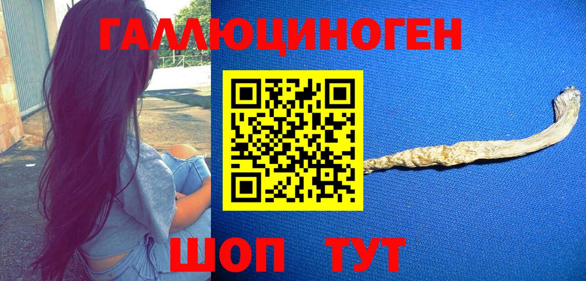 Псилоцибиновые грибы мицелий Мелеуз