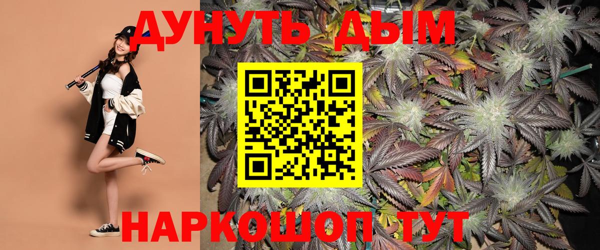 Конопля планчик Мелеуз